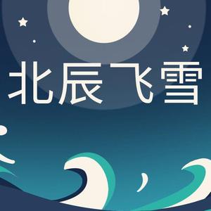 北辰飞雪头像